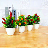 Orange Pomegranate Fruit Tree
