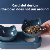 Pet Automatic Feeder  Water Bottle