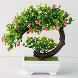 Small Tree  Plant Decoration