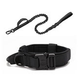 Dog Walking Training Accessories