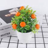 Orange Pomegranate Fruit Tree