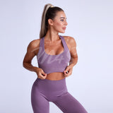 2 Pieces Yoga Fitness Set