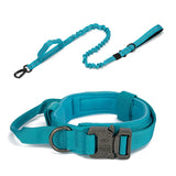 Dog Walking Training Accessories
