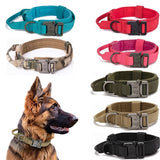 Dog Walking Training Accessories