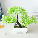 Small Tree  Plant Decoration