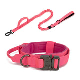 Dog Walking Training Accessories