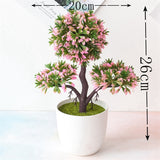 Small Tree  Plant Decoration