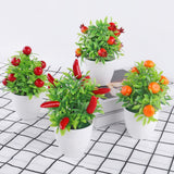 Orange Pomegranate Fruit Tree