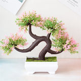 Small Tree  Plant Decoration
