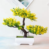 Small Tree  Plant Decoration