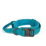 Dog Walking Training Accessories