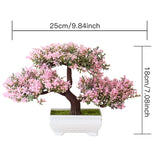 Small Tree  Plant Decoration