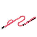 Dog Walking Training Accessories