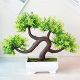 Small Tree  Plant Decoration