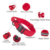 Dog Walking Training Accessories
