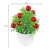 Orange Pomegranate Fruit Tree