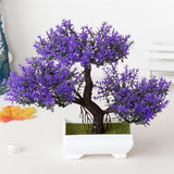 Small Tree  Plant Decoration