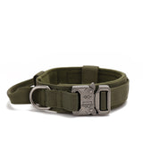Dog Walking Training Accessories