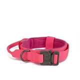 Dog Walking Training Accessories
