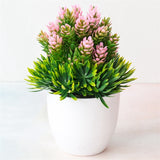 Small Tree  Plant Decoration