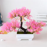 Small Tree  Plant Decoration