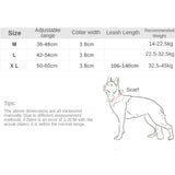 Dog Walking Training Accessories