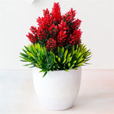 Small Tree  Plant Decoration