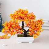 Small Tree  Plant Decoration