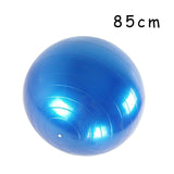Fitness Yoga Ball
