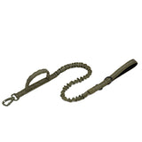 Dog Walking Training Accessories
