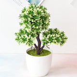 Small Tree  Plant Decoration