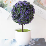 Small Tree  Plant Decoration