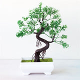 Small Tree  Plant Decoration