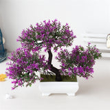 Small Tree  Plant Decoration