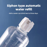 Pet Automatic Feeder  Water Bottle