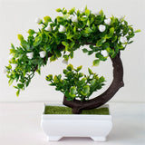 Small Tree  Plant Decoration