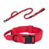 Dog Walking Training Accessories