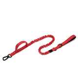 Dog Walking Training Accessories