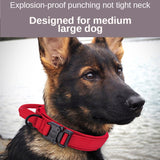 Dog Walking Training Accessories