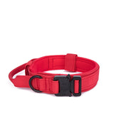 Dog Walking Training Accessories