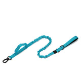Dog Walking Training Accessories