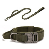 Dog Walking Training Accessories