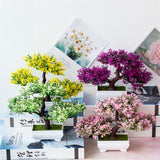 Small Tree  Plant Decoration
