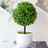 Small Tree  Plant Decoration