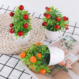 Orange Pomegranate Fruit Tree